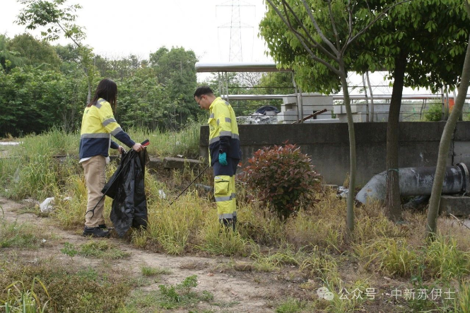 1729839984743710.png image.png